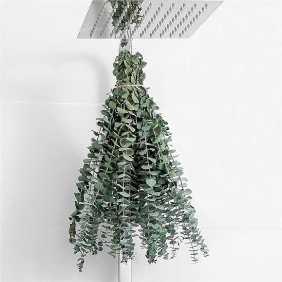 10 Pcs Dried Eucalyptus Stems 17" Real Eucalyptus for Shower Hanging 100% Made f - Picture 7 of 7